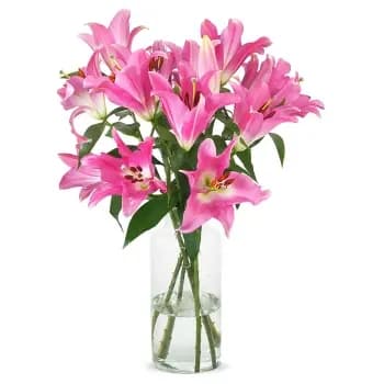 Vazoda Pembe Lilyum  - 1