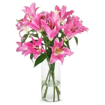 Vazoda Pembe Lilyum 